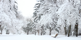 The Top 5 Snow & Ice Survival Hacks