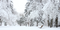The Top 5 Snow & Ice Survival Hacks