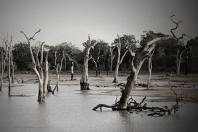 How To Prepare For A Flash Flood