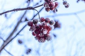 How To Stay Warm When Trapped Outside In The Cold