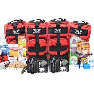 Must Haves” for Emergency Survival Kit, Birmingham & Fultondale